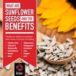 Instagram sunflower seeds