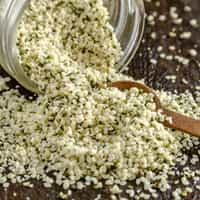 organic hemp seeds