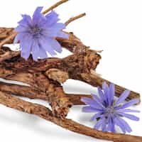 inulin fibre