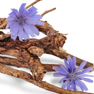 inulin fibre