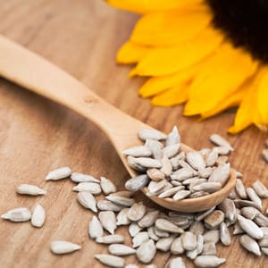 organic sunflower seeds
