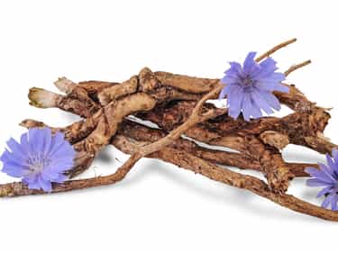 Photo of Inulin root