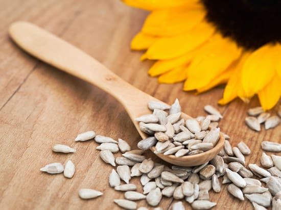Photo of wooden spoon with sunflower seeds and sunflower