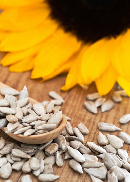 Photo of wooden spoon with sunflower seeds and sunflower